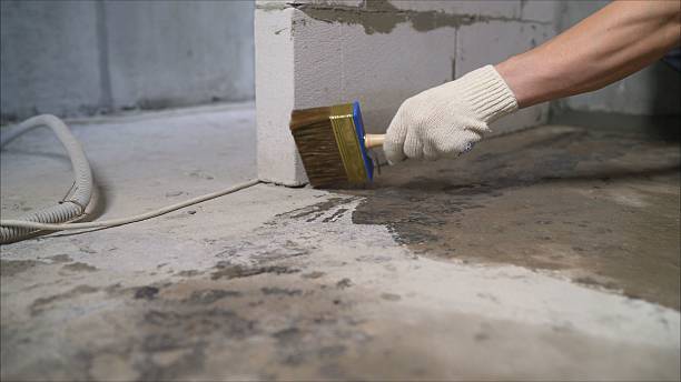 SJ Waterproofing Pros Emergency Waterproofing coverage map for Harrietta, MI and surrounding area
